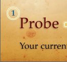 Probe